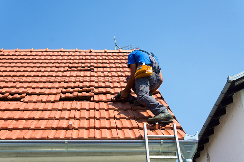 How To Choose The Best Shingle Roof Installation Palm Bay Fl?